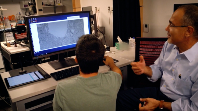 Türk bilim insanı diyabet tedavisinde çığır açacak buluşa imza attı